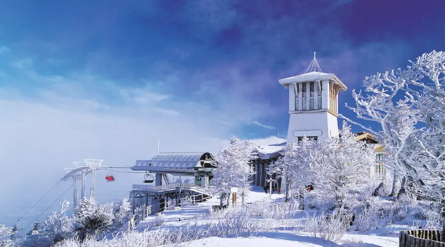 Top Asian Snow Escapes