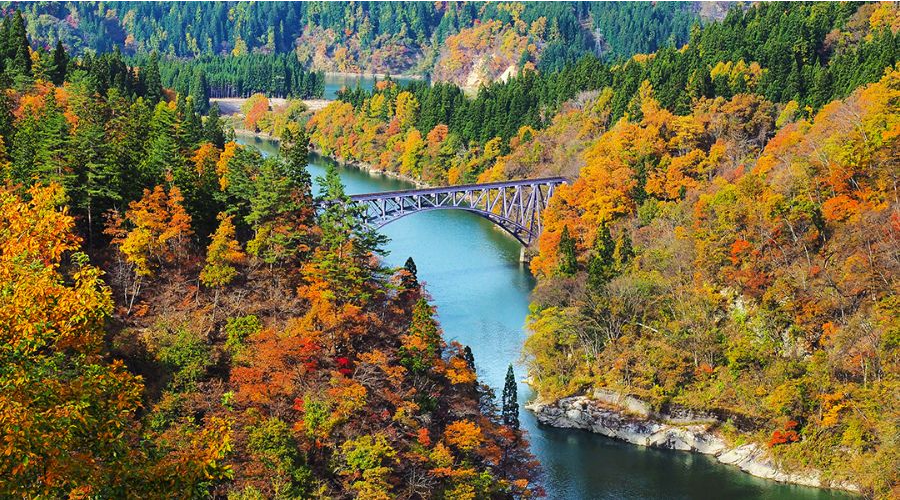 Autumn Nature’s Fiery Masterpiece