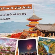 When’s the Best Time to Visit Japan Discover the Magic of Every Season