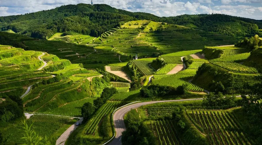  Best Solo Travel Destinations During Monsoon in India