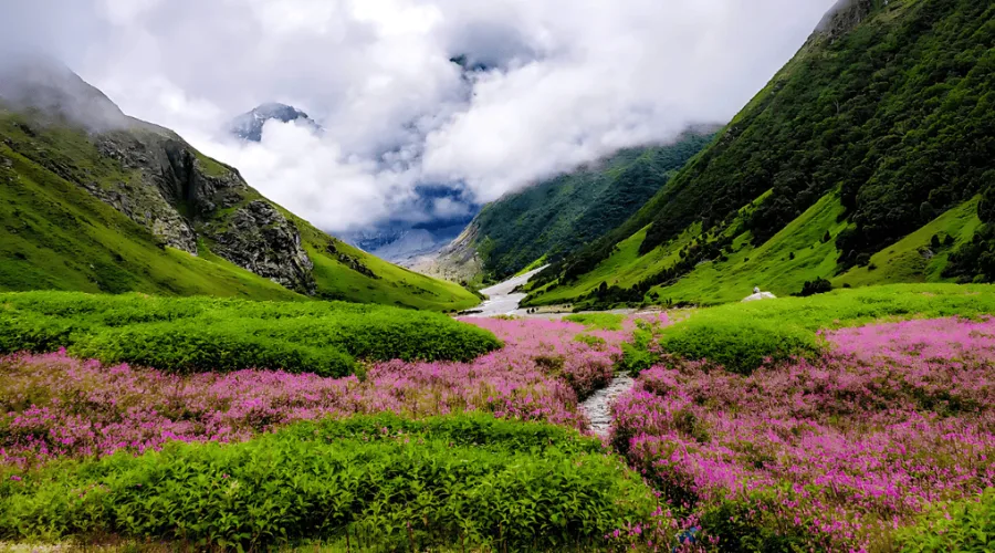  Best Solo Travel Destinations During Monsoon in India